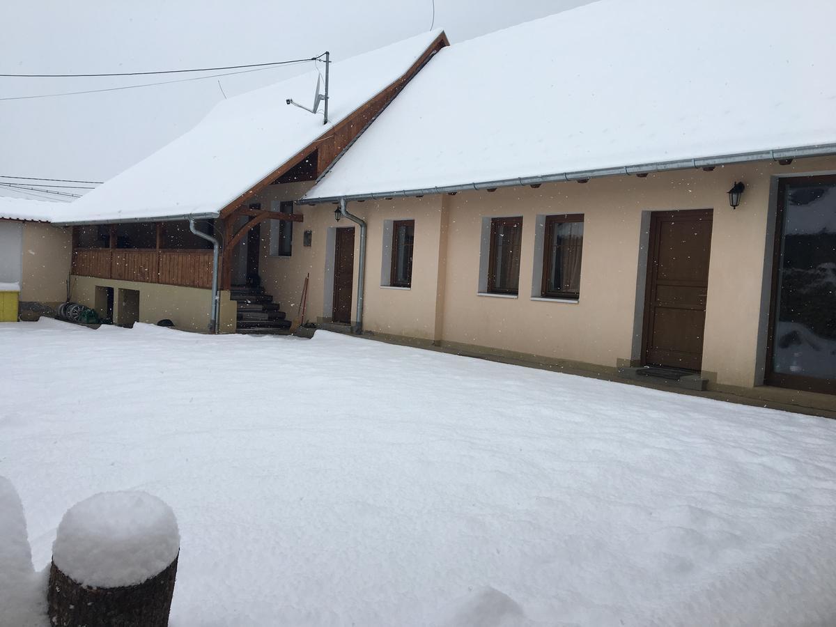 Casa Saseasca Villa Saschiz ภายนอก รูปภาพ